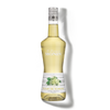 La Liqueur de MONIN Fleur de Sureau 70cl - 20%