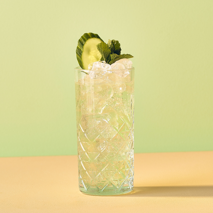 Mojito Concombre Pomme Verte - Monin France
