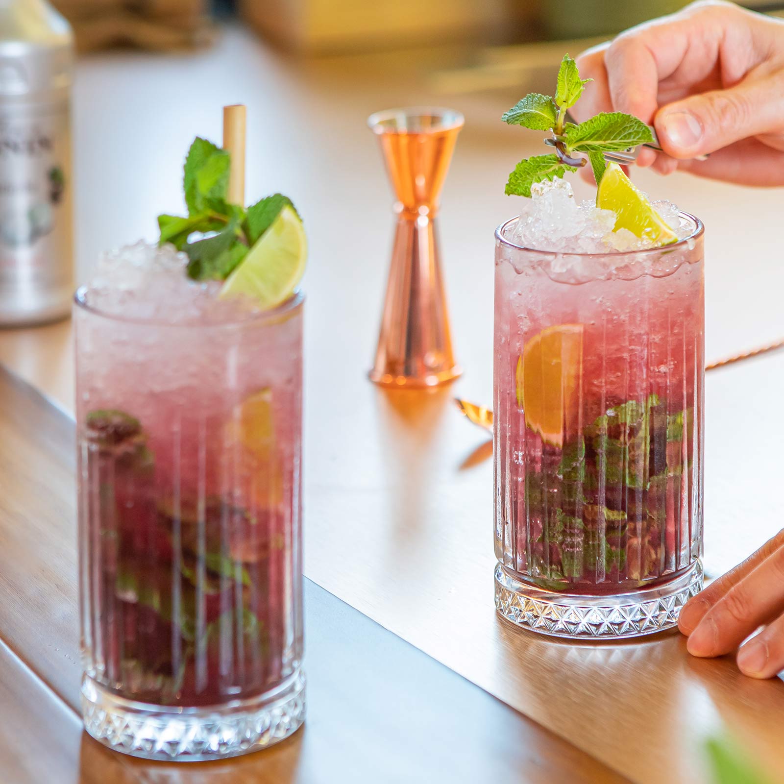 Mojito Jabuticaba - Monin France