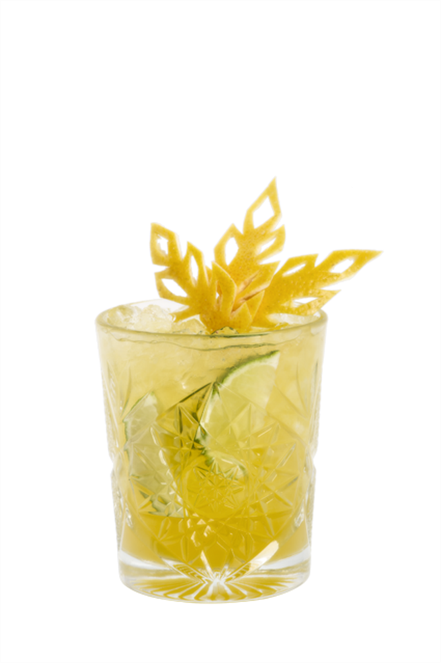 Mai Tai Passion - Monin France