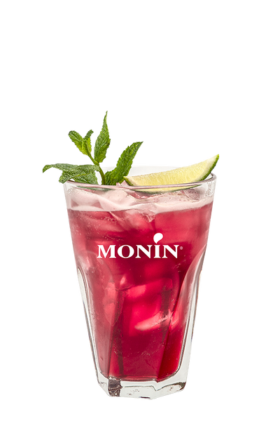 Anis Délice - Monin France
