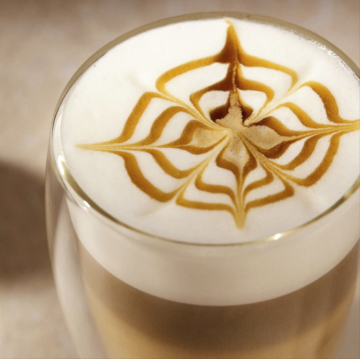 Cappuccino Noisette Grillée - Monin France