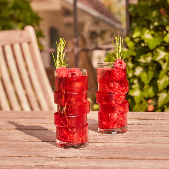 Cascara Hibiscus - Monin France