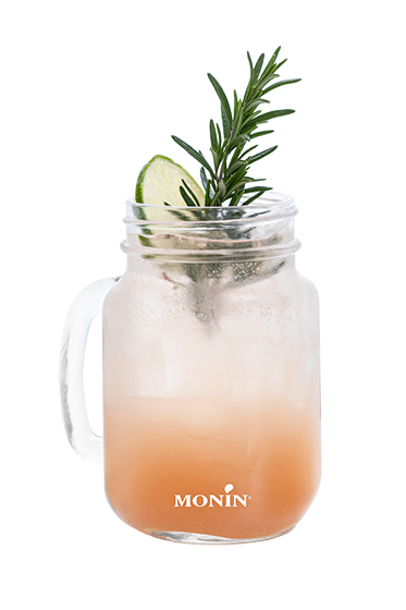 Chose Anisé - Monin France