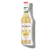 Le Concentré de MONIN Gingembre