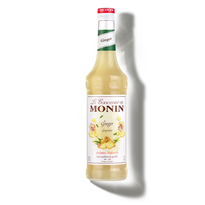 Le Concentré de MONIN Gingembre