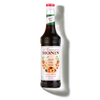 Le Concentré de MONIN Thé Pêche