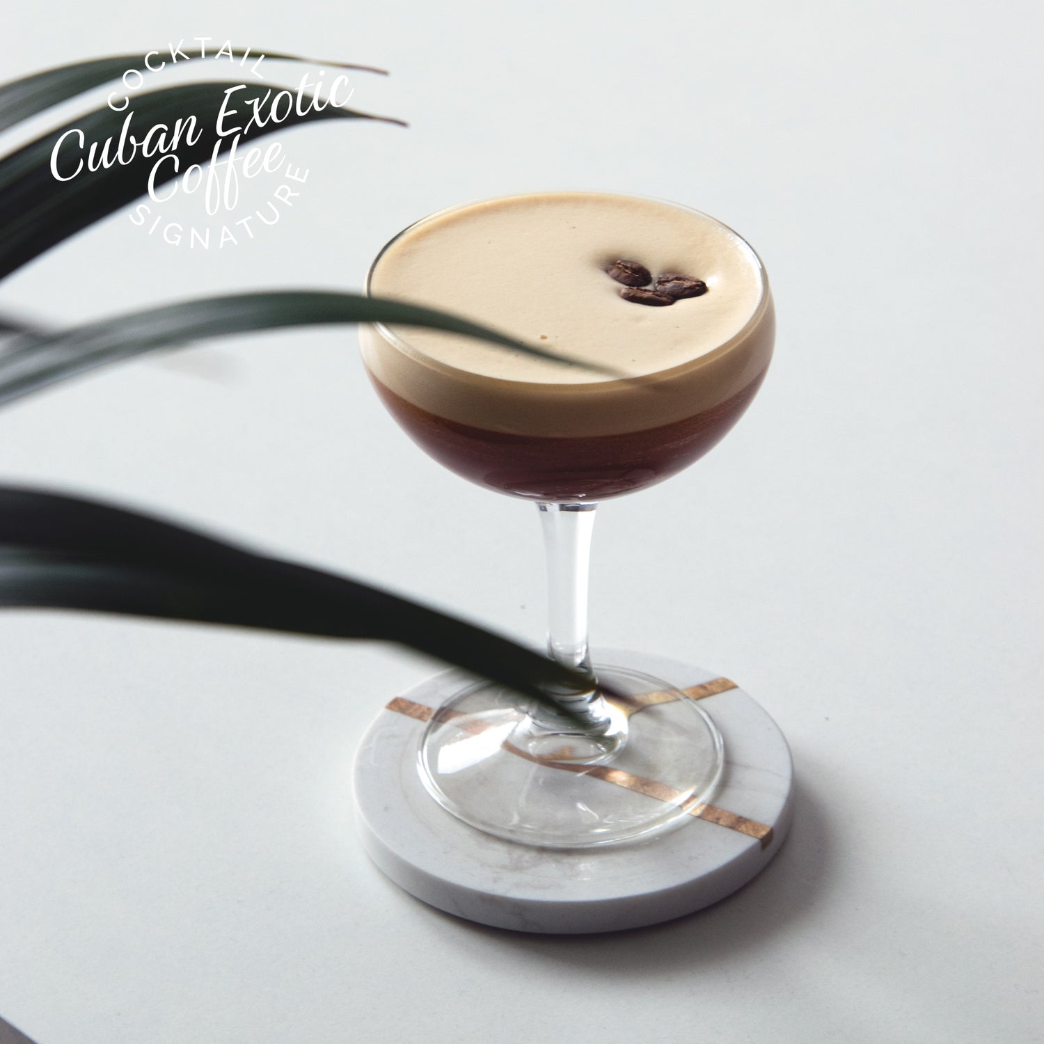 Cuban Exotic Coffee - Monin France