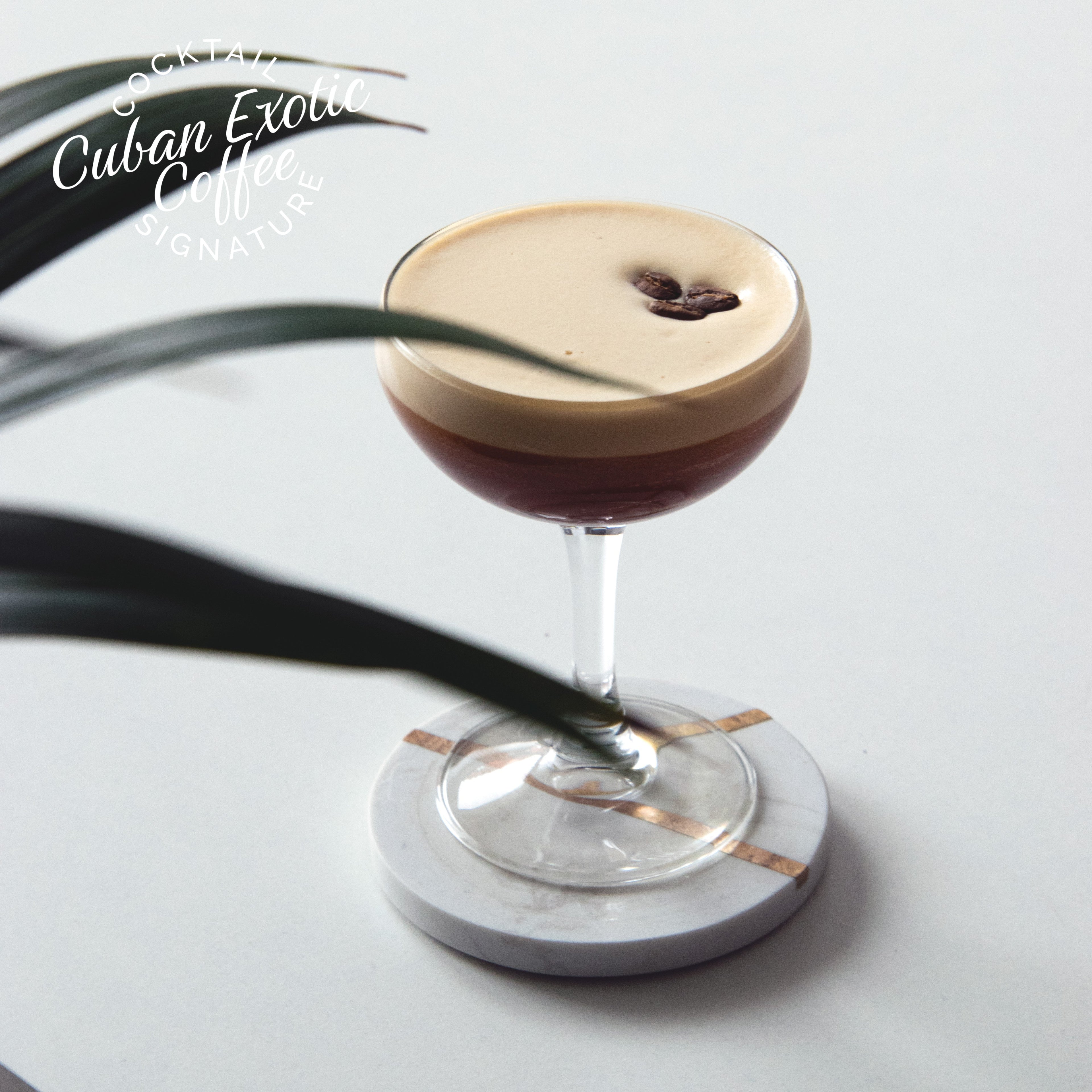 Cuban Exotic Coffee - Monin France