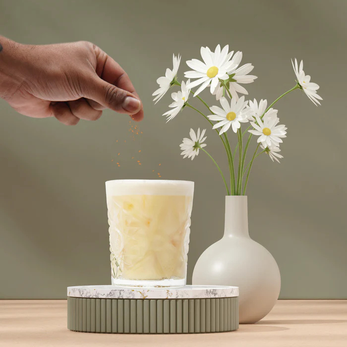 Eggnog Chaï Vanille - Monin France