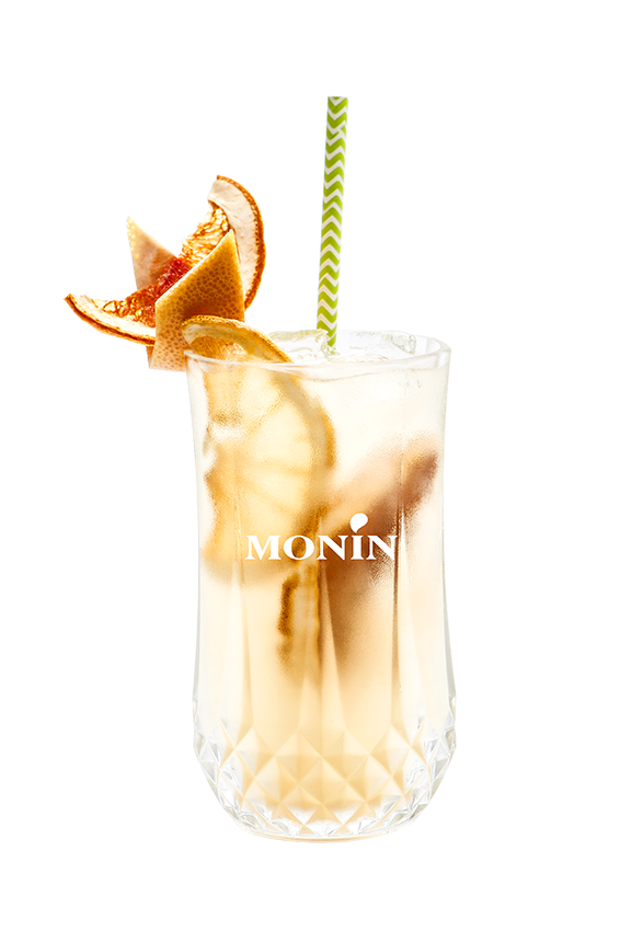 Fizz Gingembre - Monin France