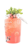Fontaine à Limonade MONIN 8.5L