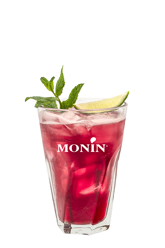 Fruit Cooler Mûre - Monin France