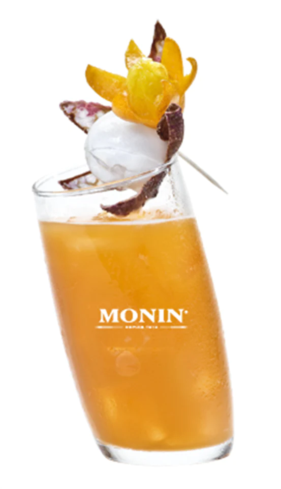 Gin & Juice Abricot - Monin France