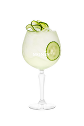 Gin Tonic Concombre - Monin France