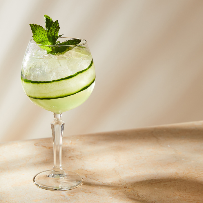 Gin Tonic Concombre - Monin France