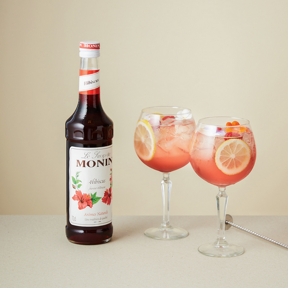 Gin Tonic Hibiscus + bouteille - Monin France