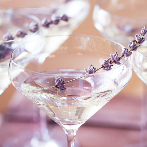 Gin Tonic Lavande - Monin France