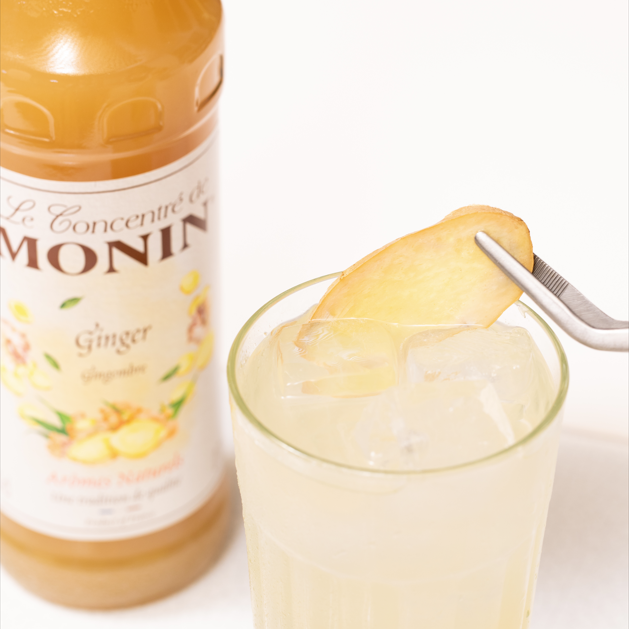 Gingerbeer maison - Monin France