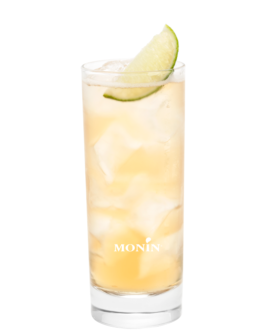 Highball Bourbon Mangue - Monin France