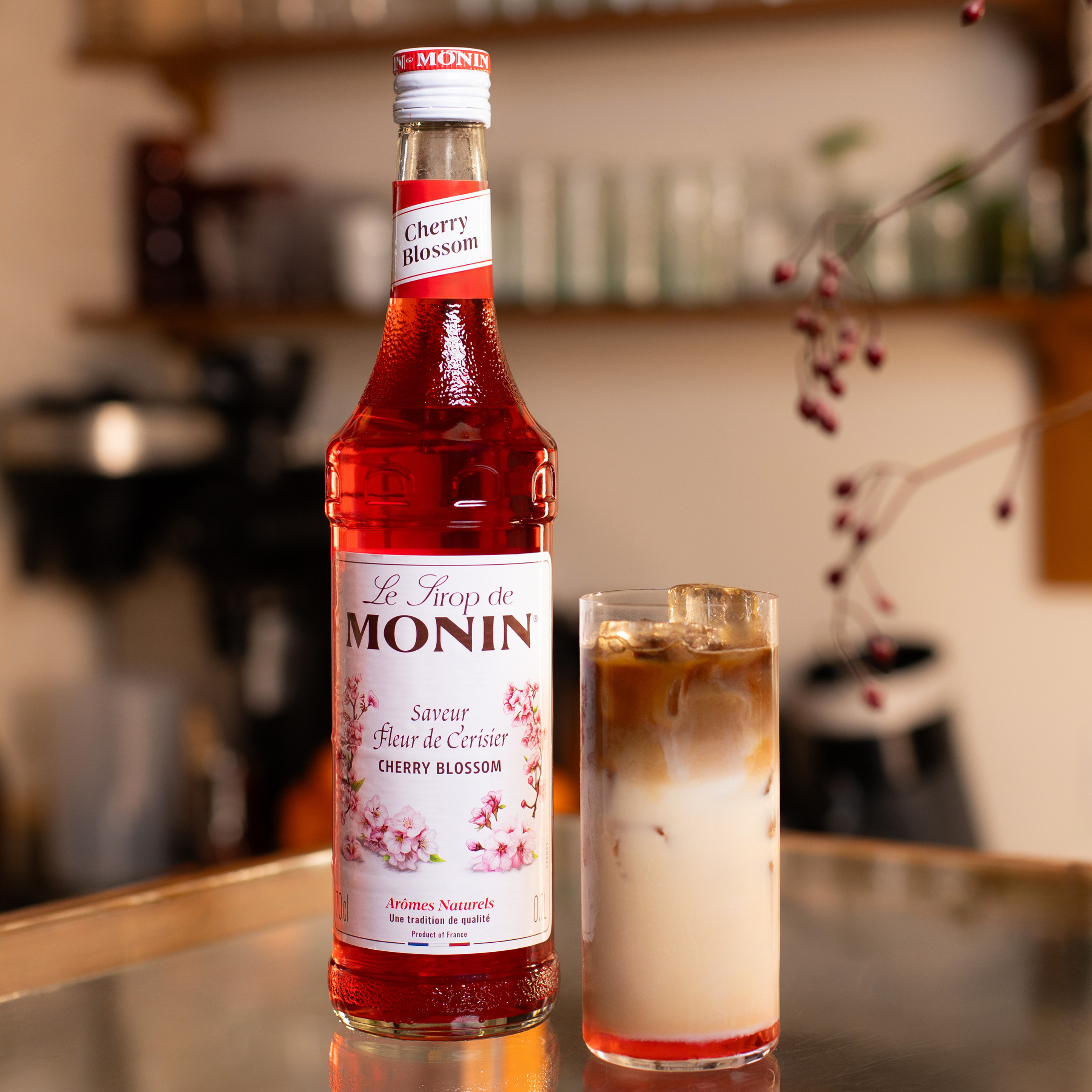 Iced Latte Fleur de Cerisier - Monin France