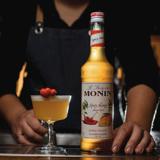 Latino Road Trip + bouteille - Monin France