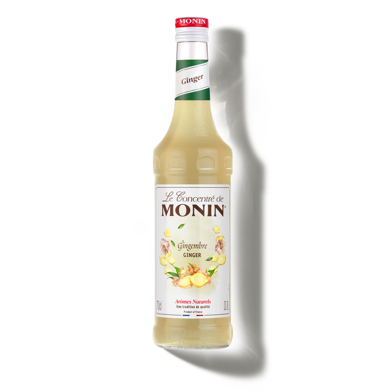 Le Concentré de MONIN Gingembre