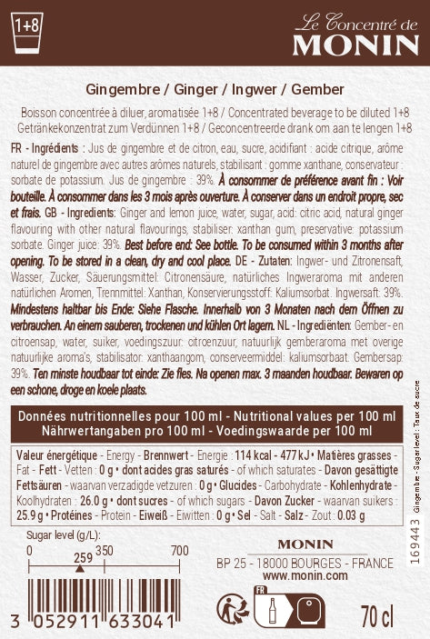 Le Concentré de MONIN Gingembre