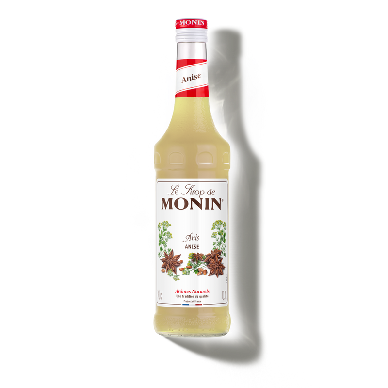 Le Sirop de MONIN Anis