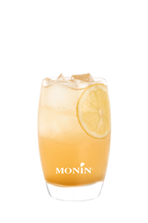 Limonade Fleur de Sureau Mangue - Monin France