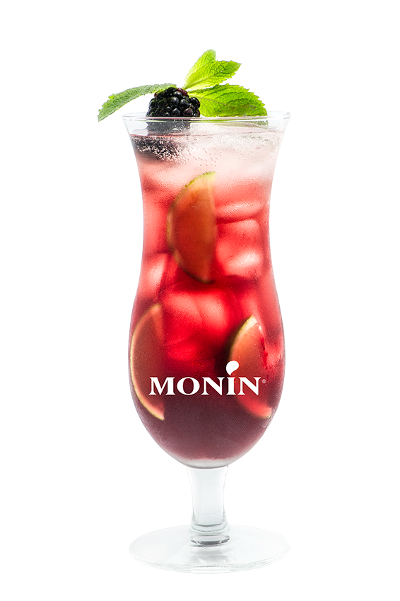 Limonade Mûre et Gingembre - Monin France