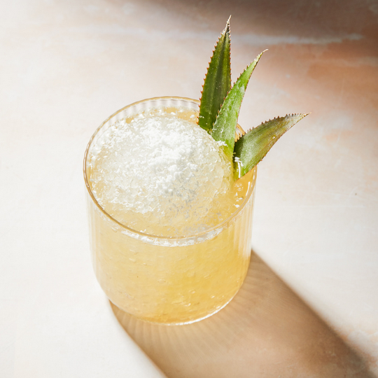 Maï Taï Noisette - Monin France