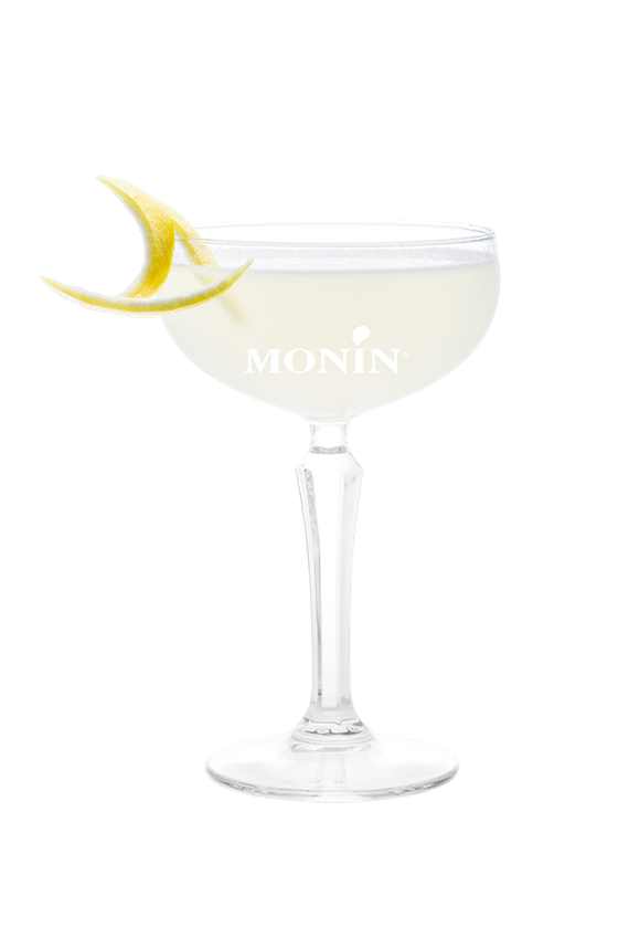 Martini Melon - Monin France