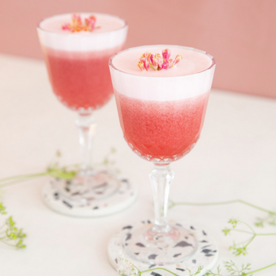 Martini Myrtille - Monin France