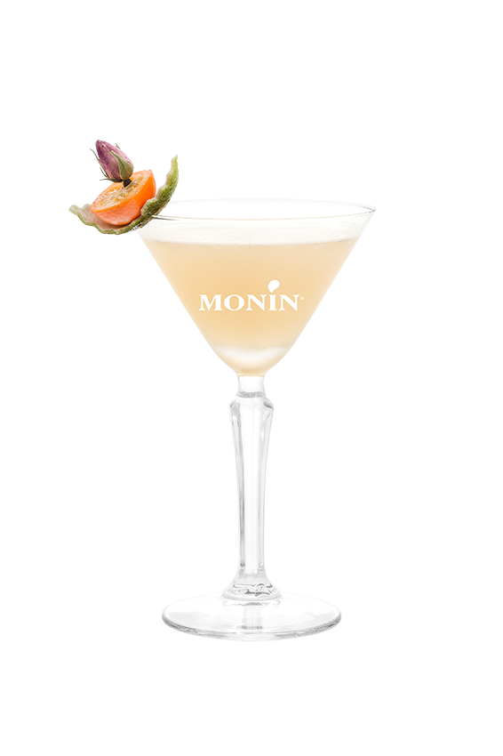 Martini Pêche Blanche - Monin France