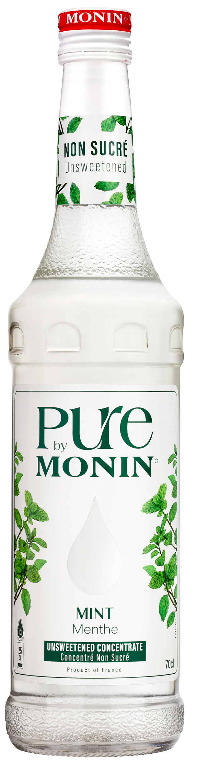 Pure by Monin Menthe