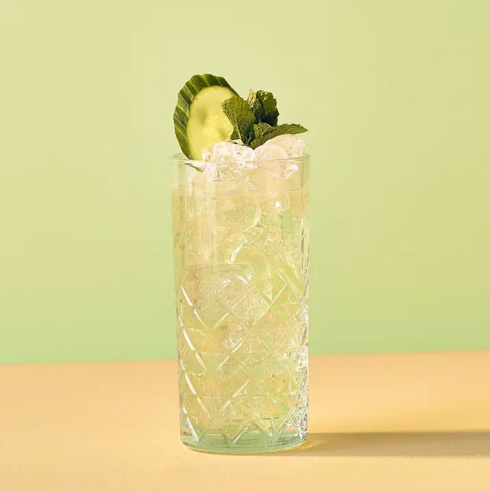 Mojito Concombre Pomme Verte - Monin France