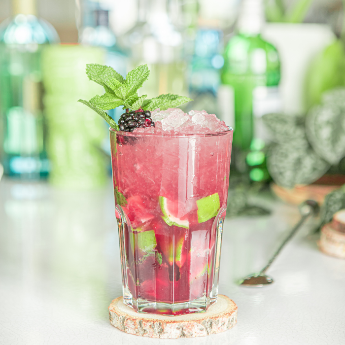 Mojito Hibiscus Mûre - Monin France