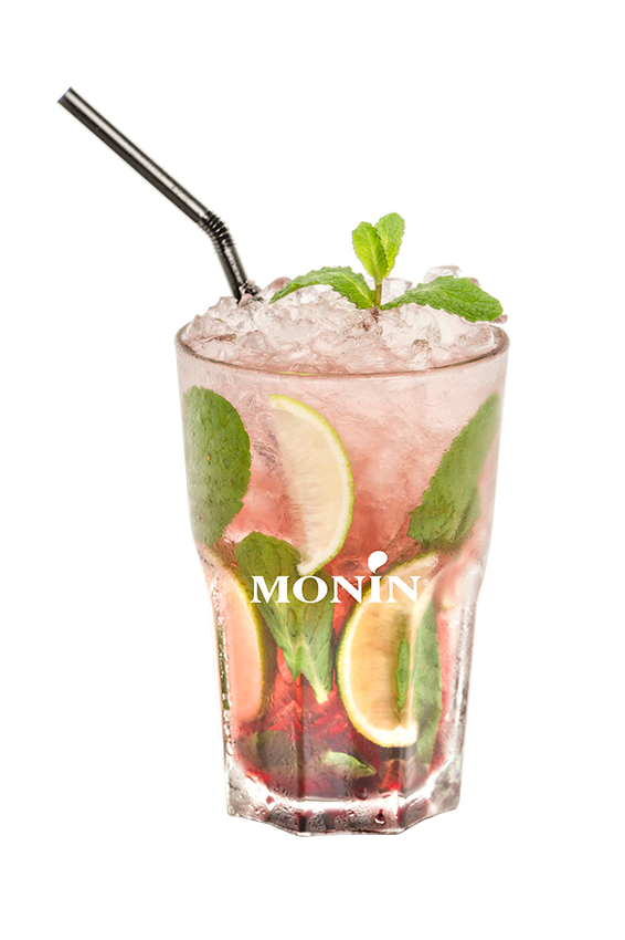 Mojito Hibiscus Mûre - Monin France