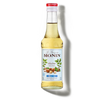 Le Sirop de MONIN Noisette sans sucre