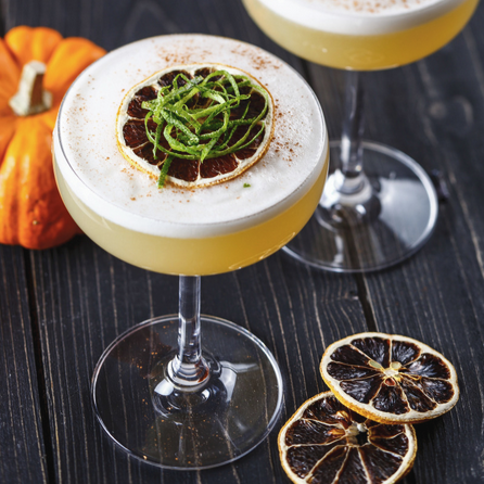 Pisco Sour Citrouille Épicée - Monin France