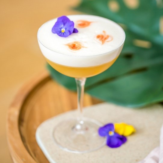 Pisco Sour Thé Vert Mangue - Monin France