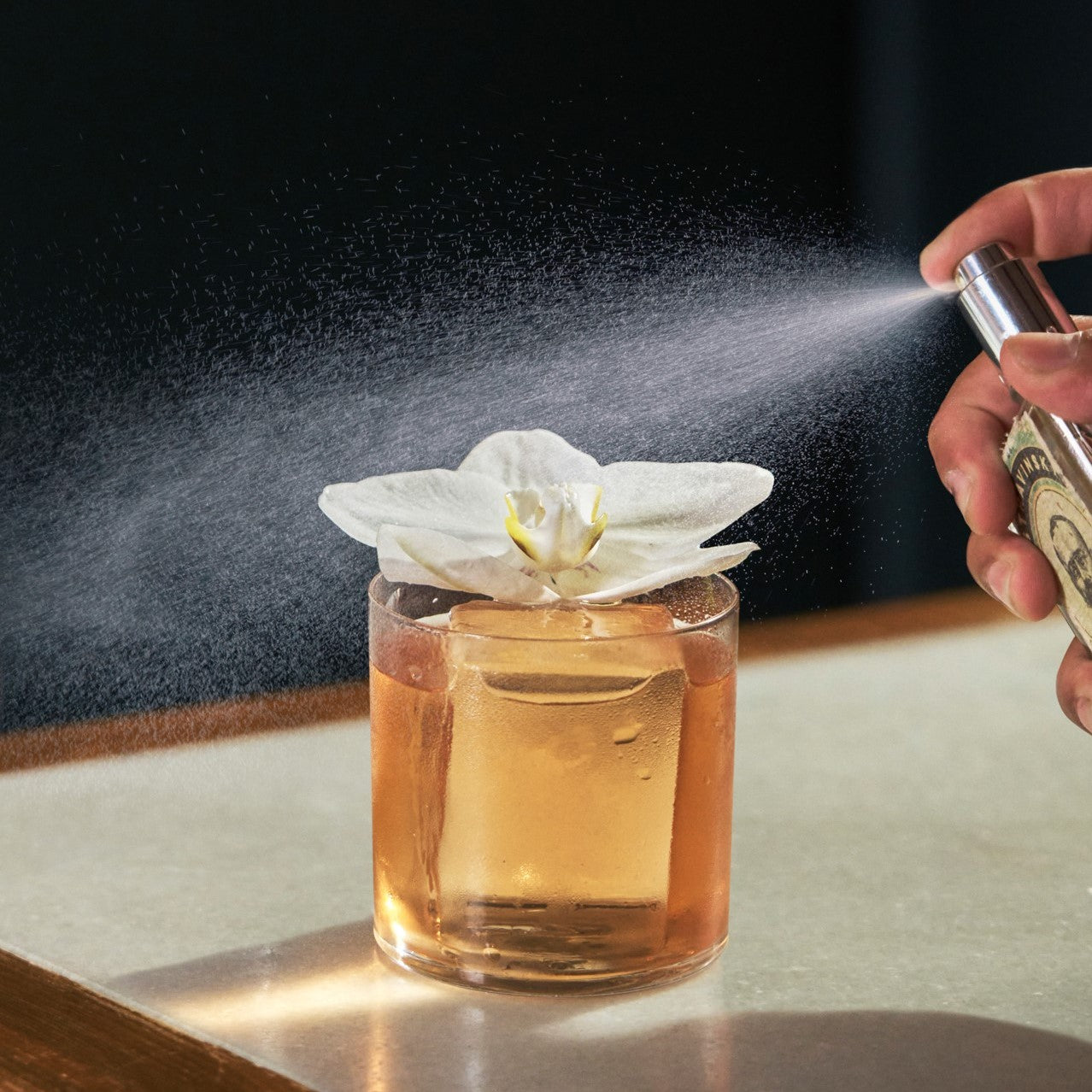 Promenade dans le désert - Monin France