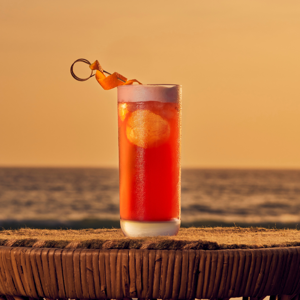 Sex on the Beach - Monin France