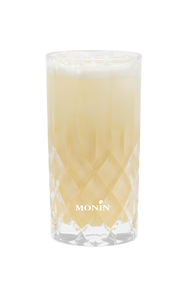 Silver Fizz Praline Passion - Monin France
