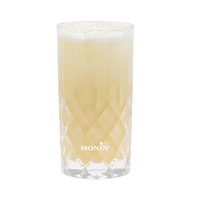 Silver Fizz Praline Passion - Monin France