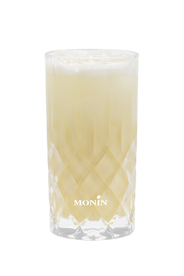 Silver Fizz Praline Passion - Monin France