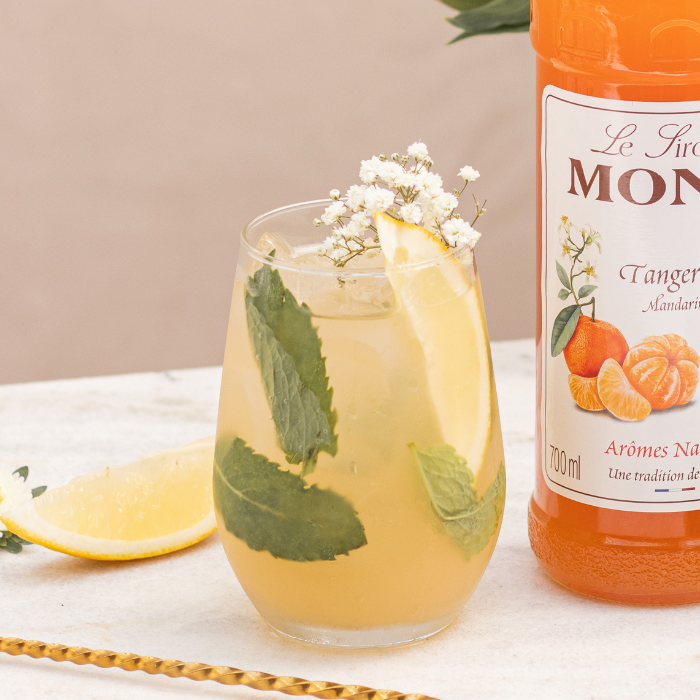 Spritzer Mandarine - Monin France