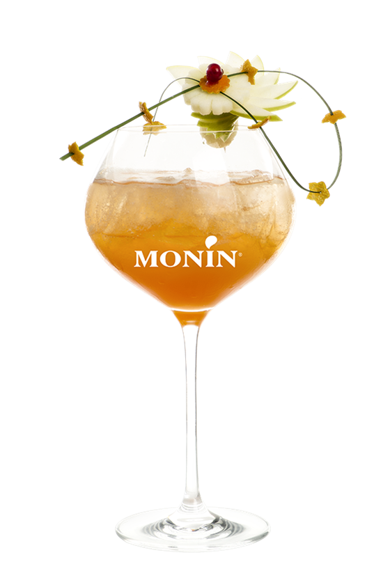 Spritzer Mangue Bitter - Monin France
