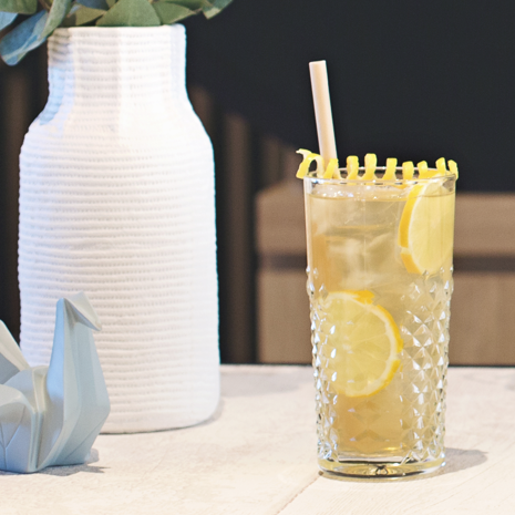Thé Vert Glacé Yuzu  Gingembre - Monin France